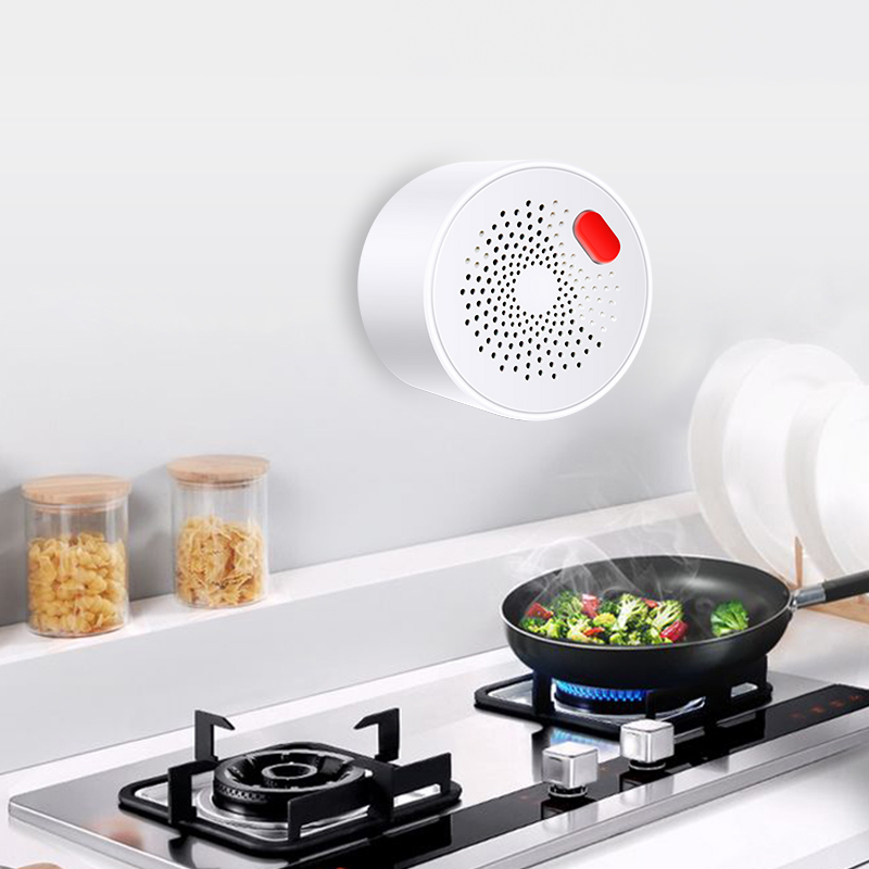 Tuya Smart Home WiFi Sensor De - Home Security Business avaliação e preço